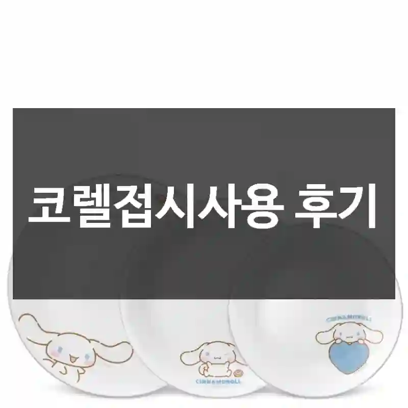 코렐접시사용 후기
