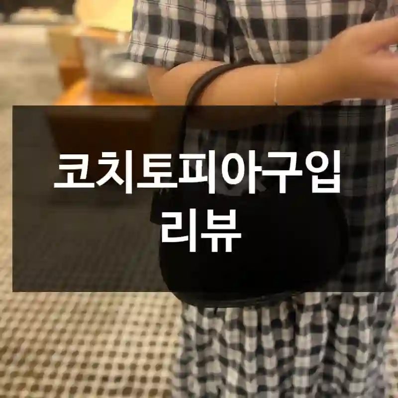 코치토피아구입 리뷰