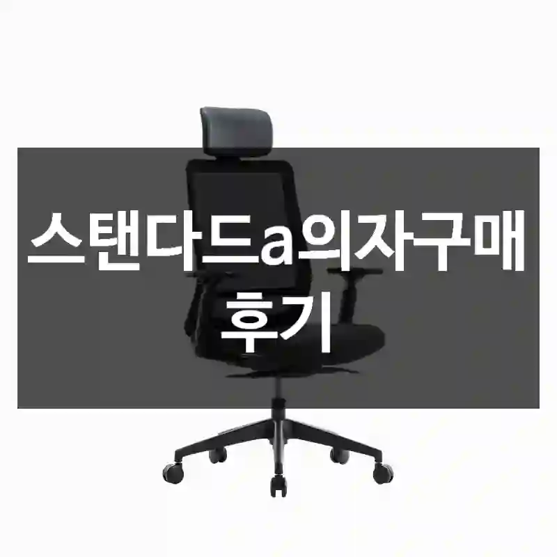 스탠다드a의자구매 후기