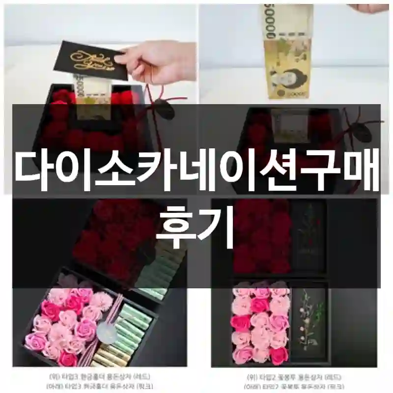 다이소카네이션구매 후기