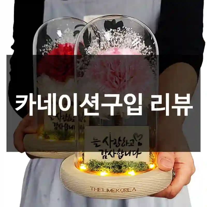 카네이션구입 리뷰