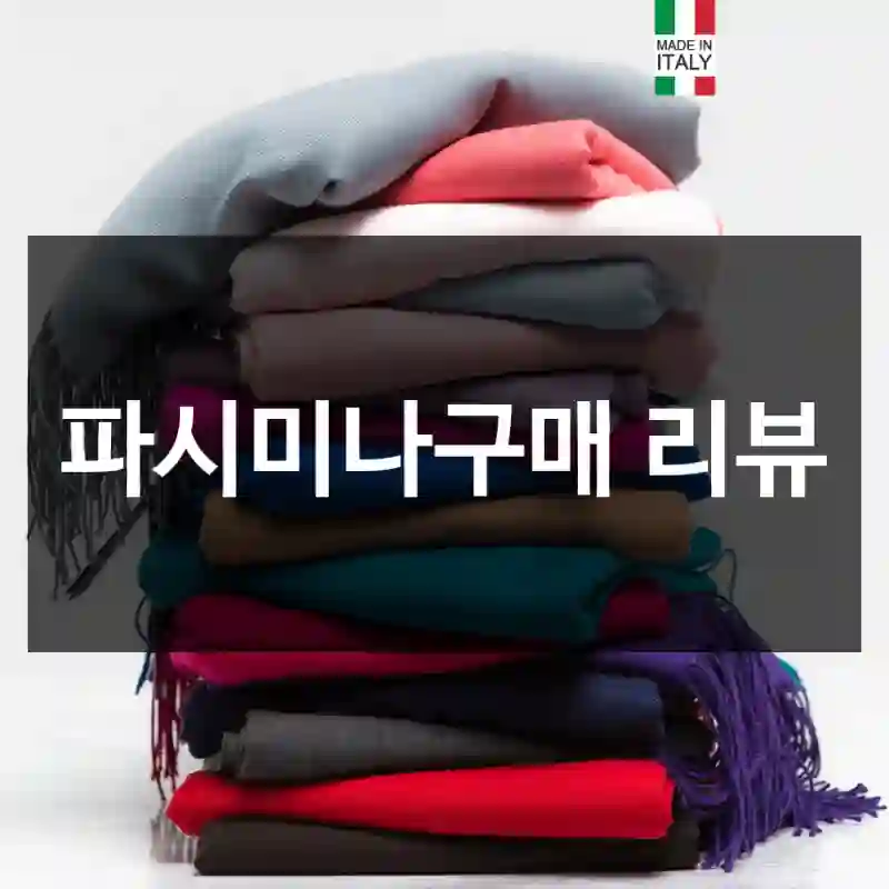 파시미나구매 리뷰