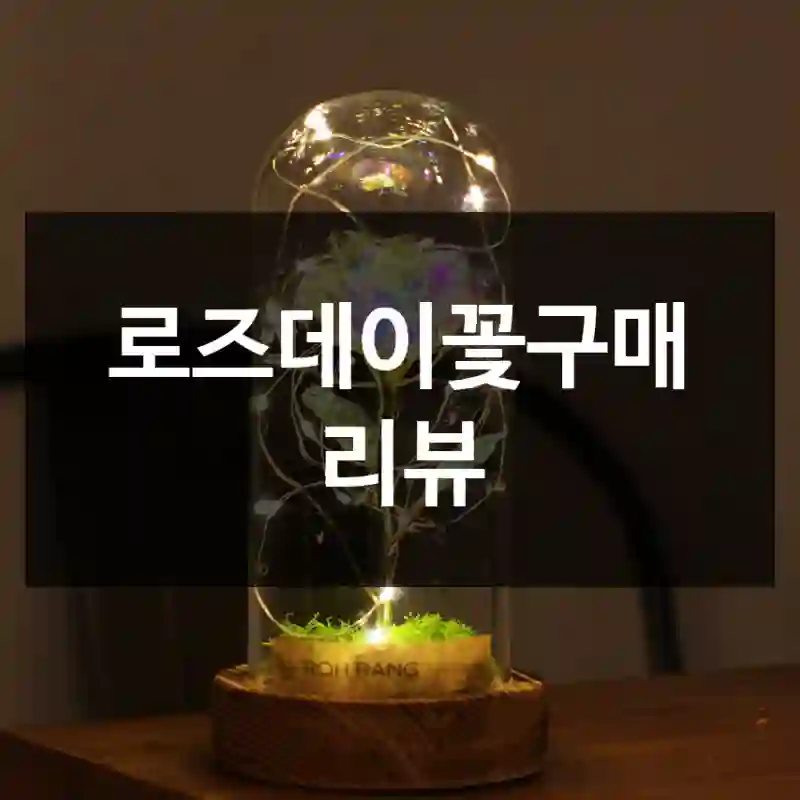 로즈데이꽃구매 리뷰