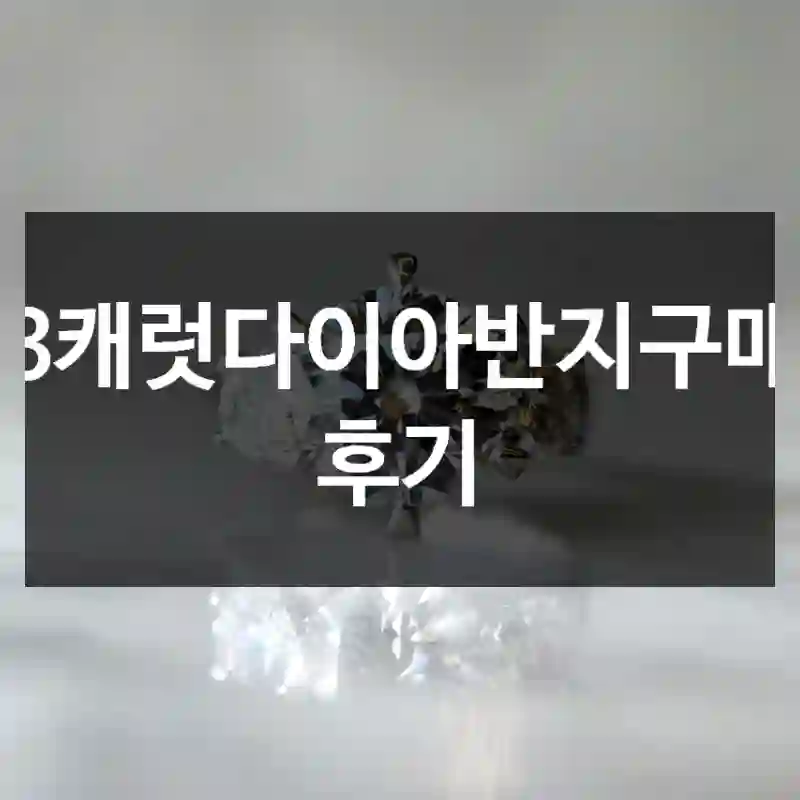 3캐럿다이아반지구매 후기