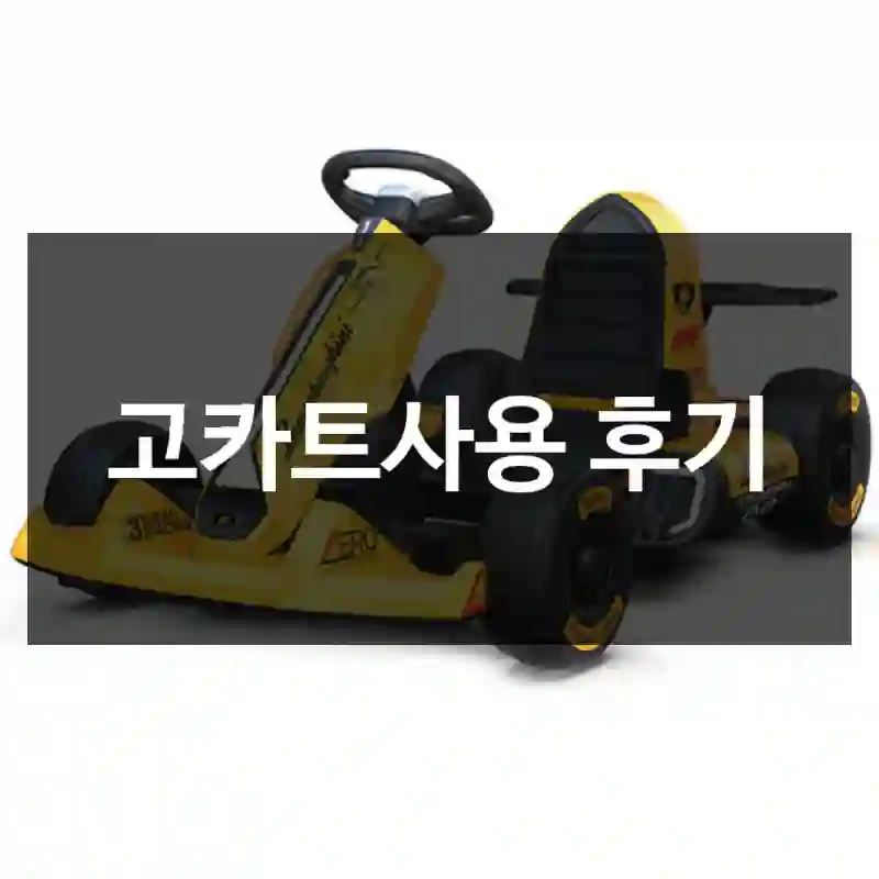 고카트사용 후기