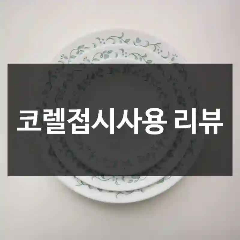 코렐접시사용 리뷰