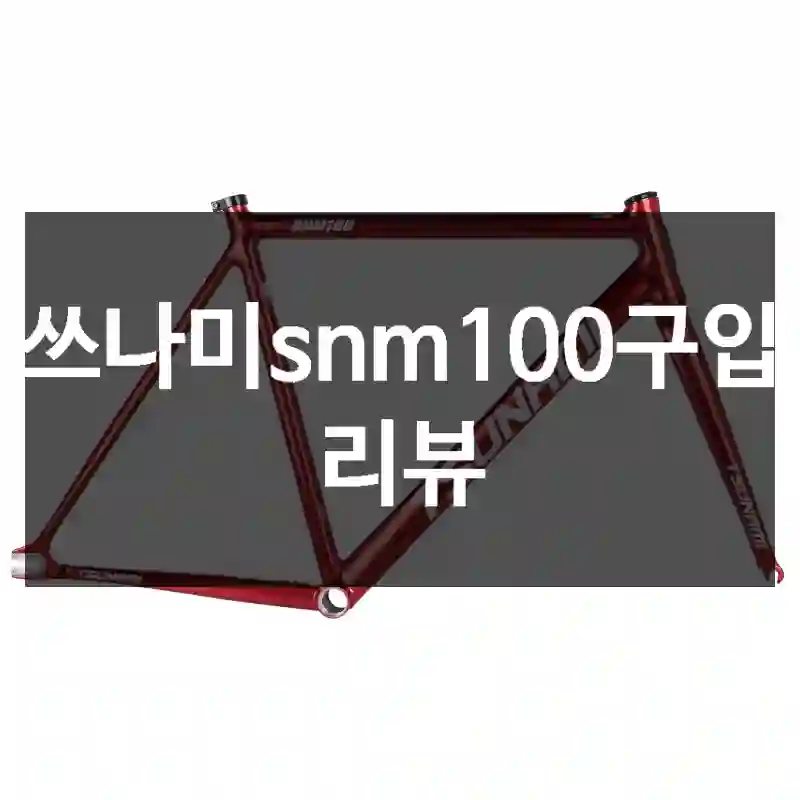 쓰나미snm100구입 리뷰