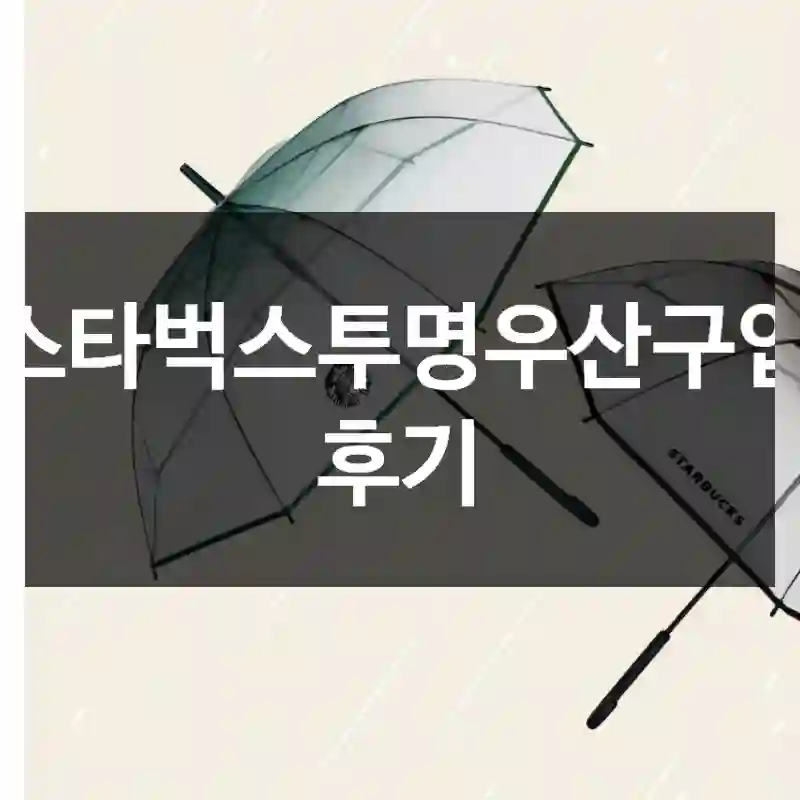 스타벅스투명우산구입 후기