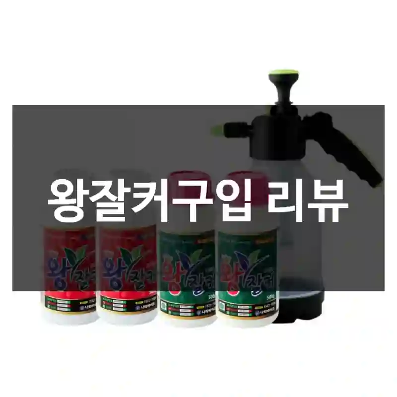 왕잘커구입 리뷰