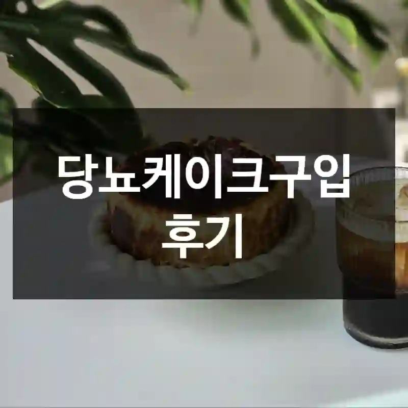 당뇨케이크구입 후기