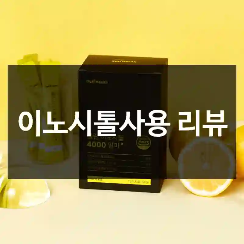 이노시톨사용 리뷰