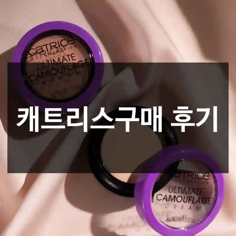 캐트리스구매 후기
