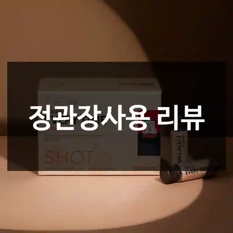 정관장사용 리뷰