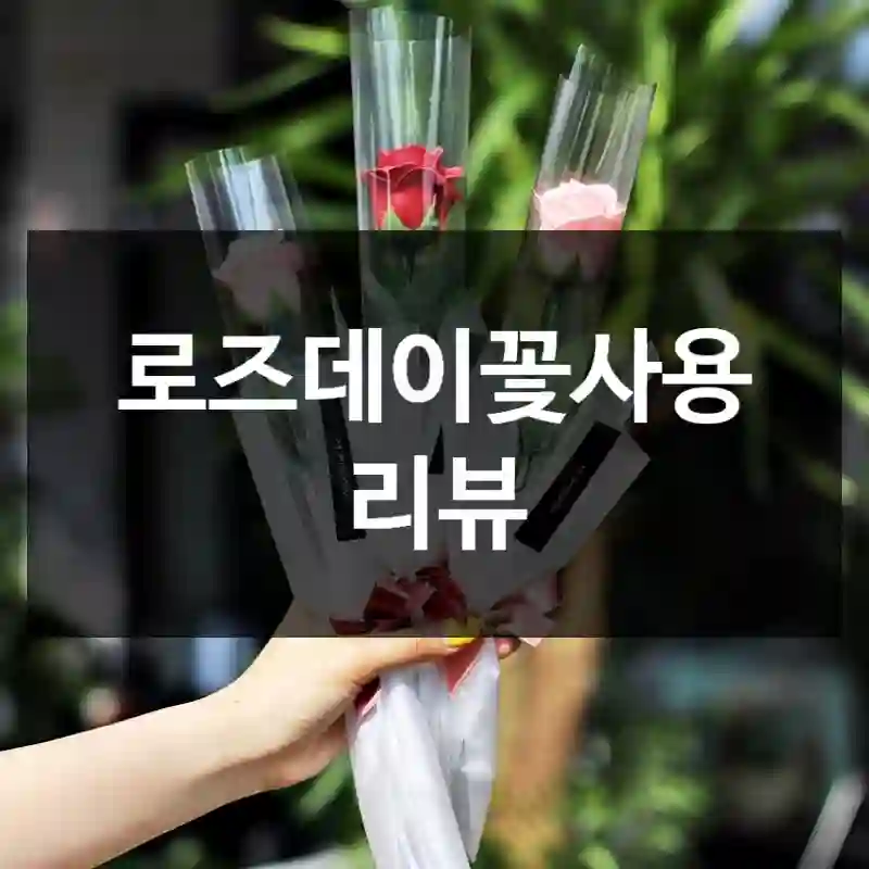 로즈데이꽃사용 리뷰