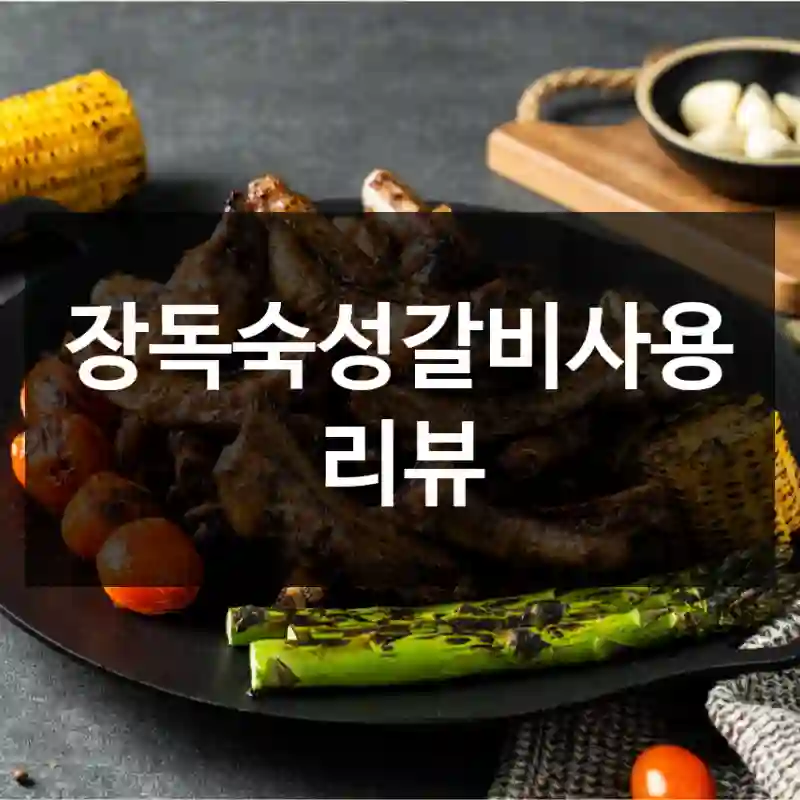 장독숙성갈비사용 리뷰