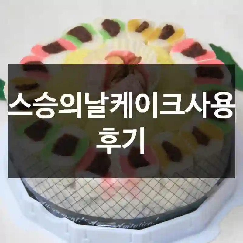 스승의날케이크사용 후기