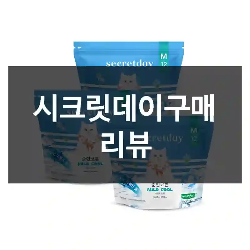 시크릿데이구매 리뷰