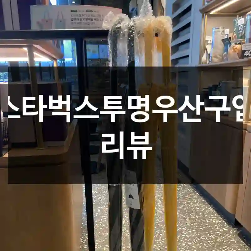 스타벅스투명우산구입 리뷰
