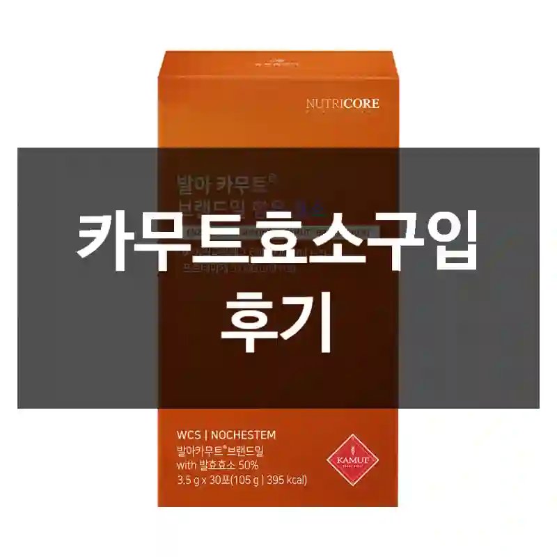 카무트효소구입 후기