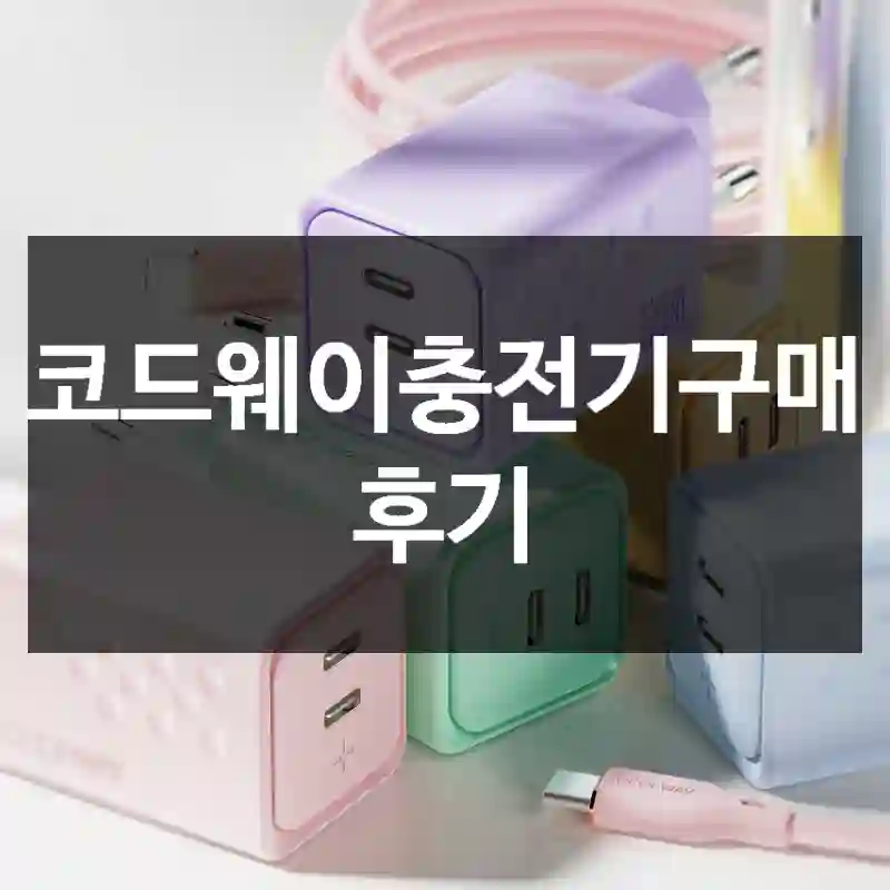 코드웨이충전기구매 후기