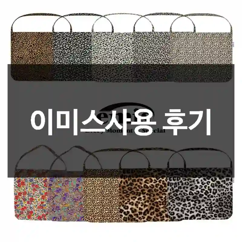 이미스사용 후기
