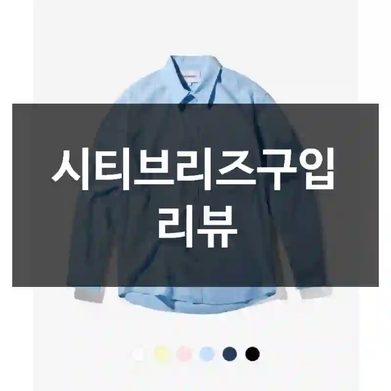 시티브리즈구입 리뷰
