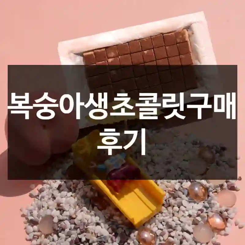 복숭아생초콜릿구매 후기