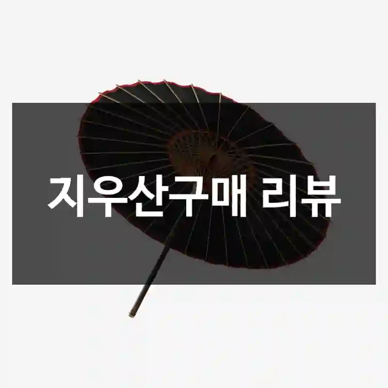 지우산구매 리뷰