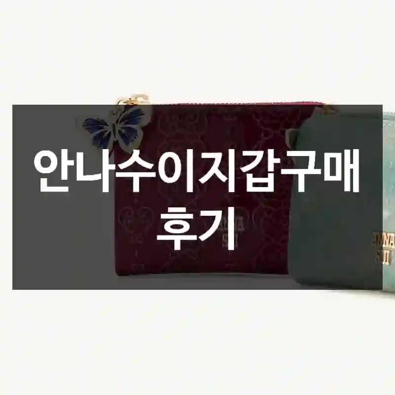 안나수이지갑구매 후기