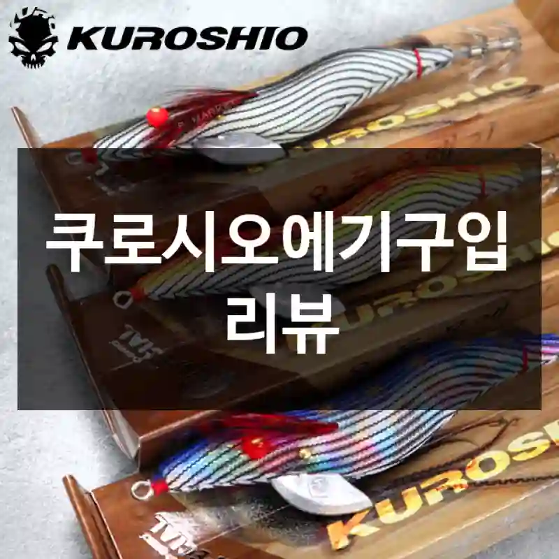 쿠로시오에기구입 리뷰