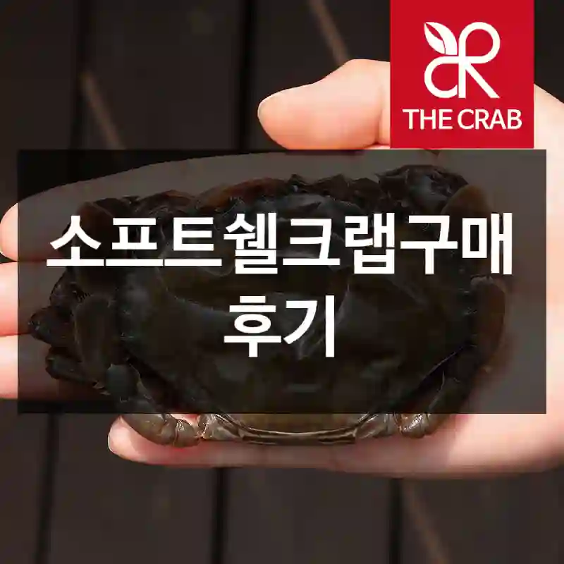 소프트쉘크랩구매 후기