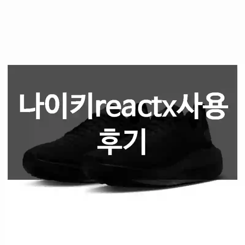 나이키reactx사용 후기