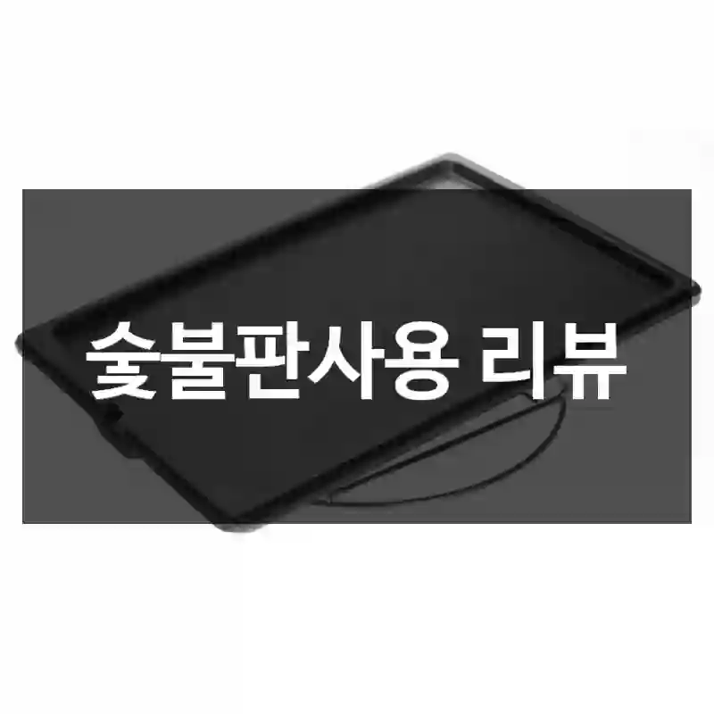 숯불판사용 리뷰