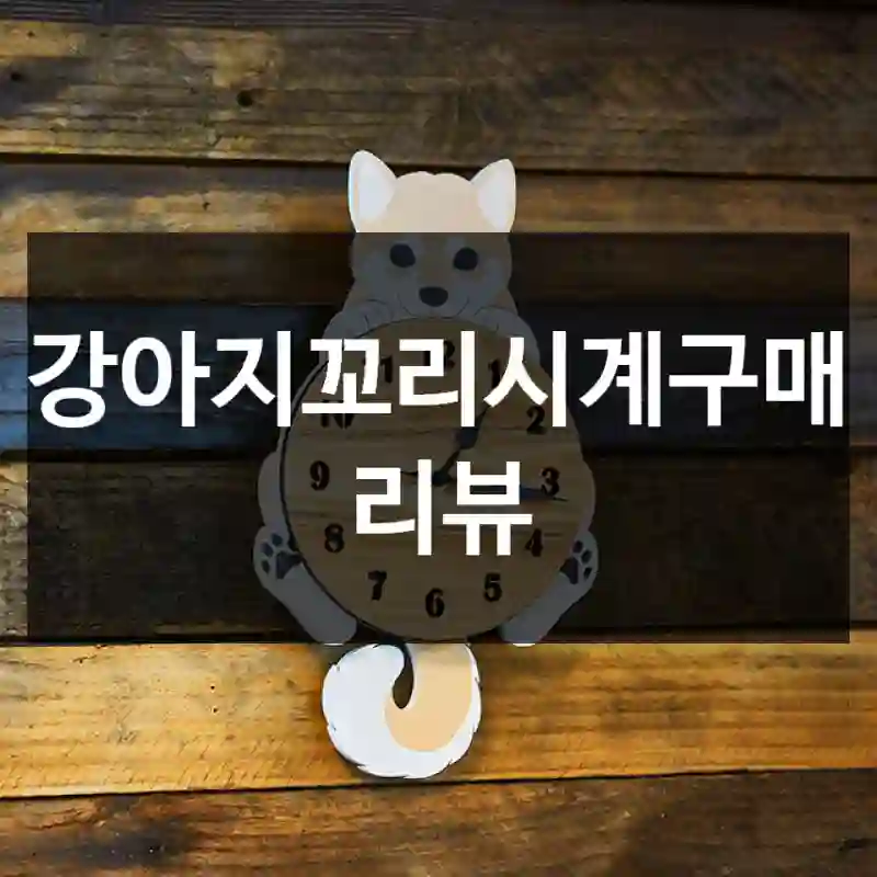 강아지꼬리시계구매 리뷰