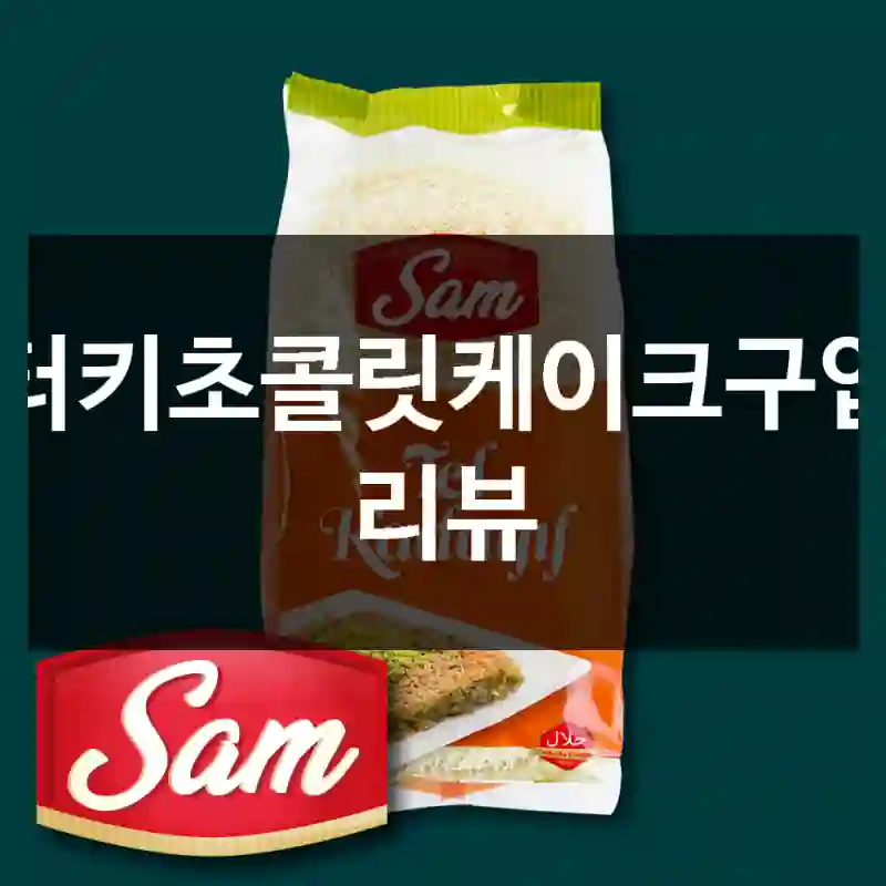 터키초콜릿케이크구입 리뷰