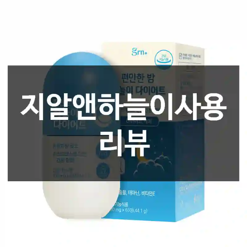 지알앤하늘이사용 리뷰