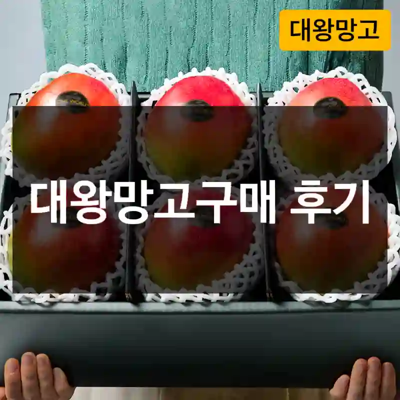 대왕망고구매 후기