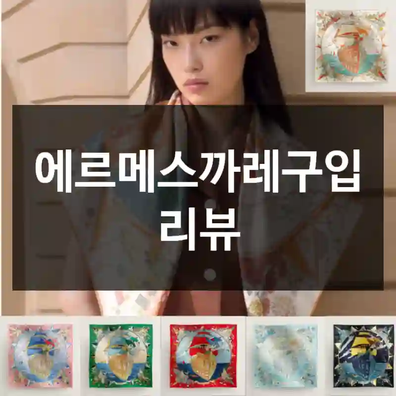 에르메스까레구입 리뷰