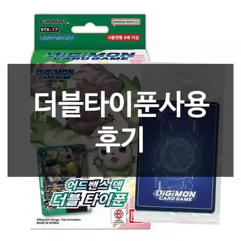 더블타이푼사용 후기