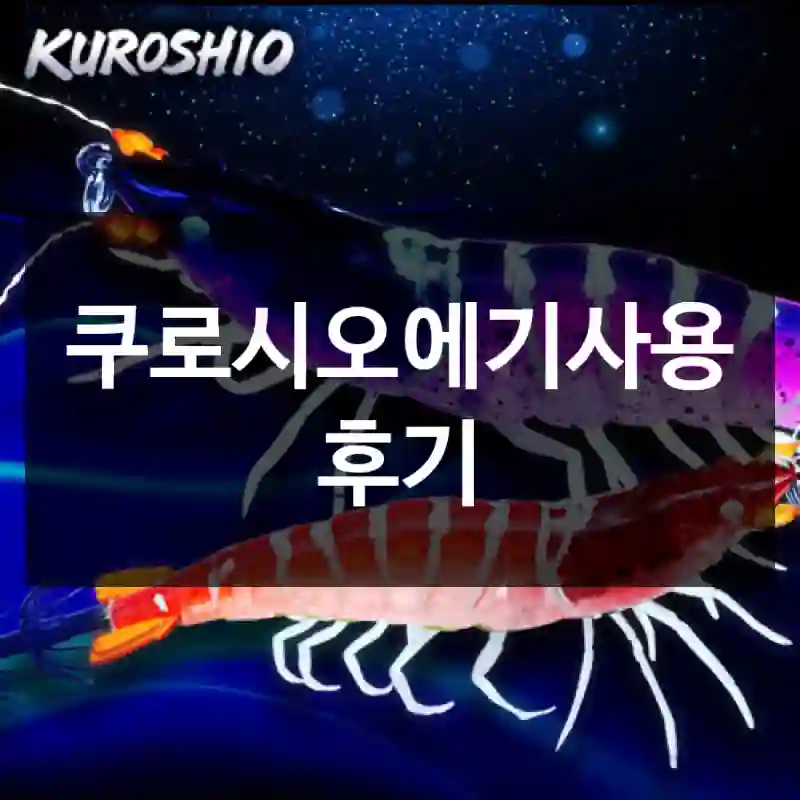 쿠로시오에기사용 후기