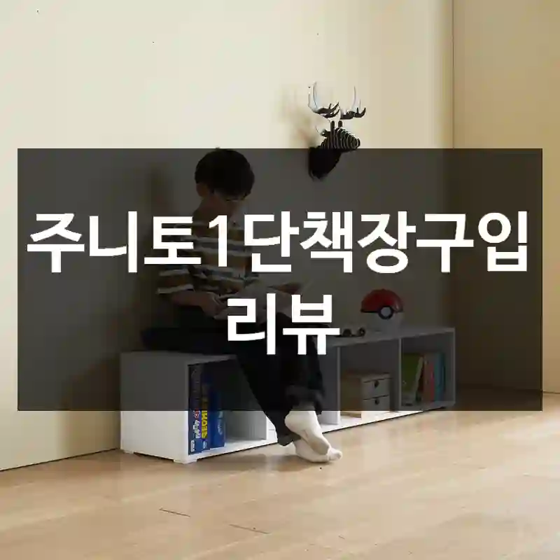 주니토1단책장구입 리뷰