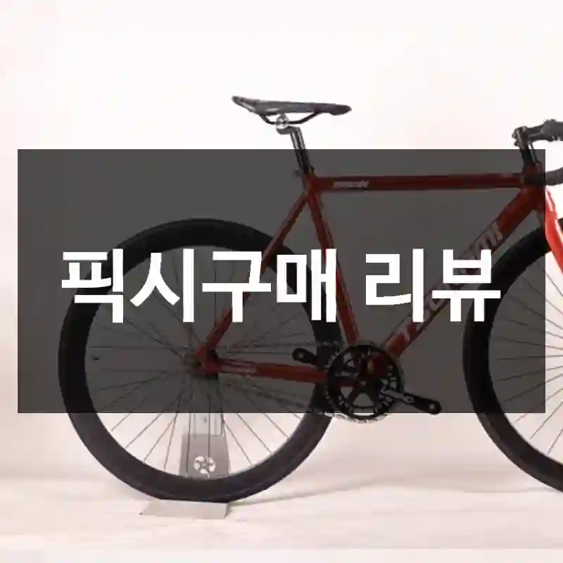 픽시구매 리뷰