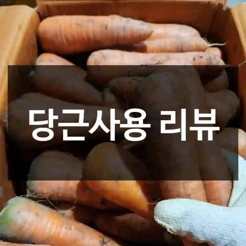 당근사용 리뷰