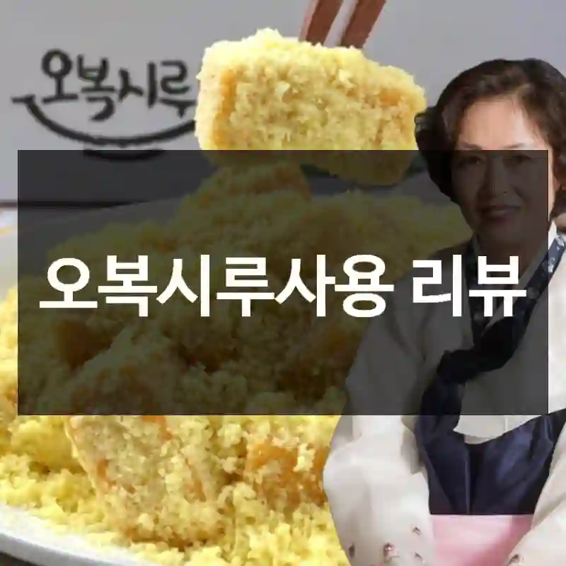 오복시루사용 리뷰