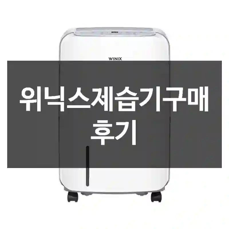 위닉스제습기구매 후기