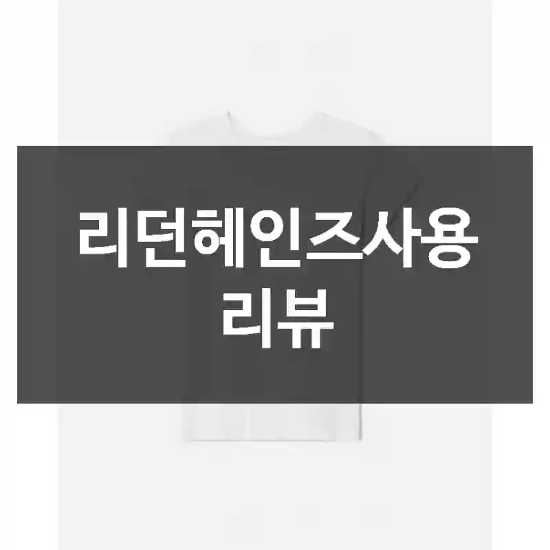 리던헤인즈사용 리뷰