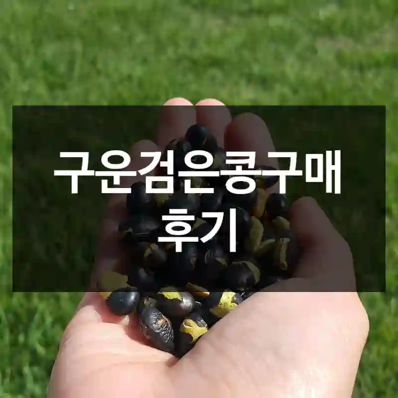 구운검은콩구매 후기