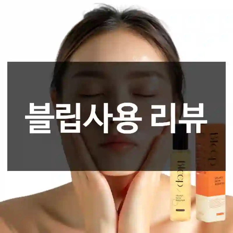 블립사용 리뷰
