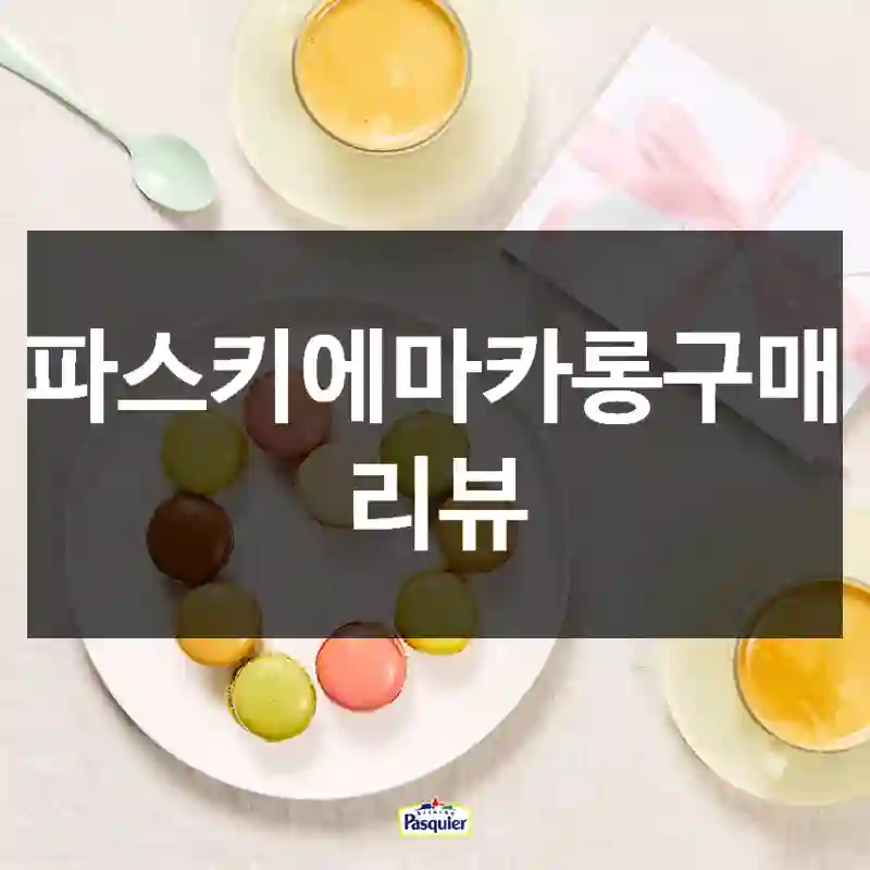 파스키에마카롱구매 리뷰