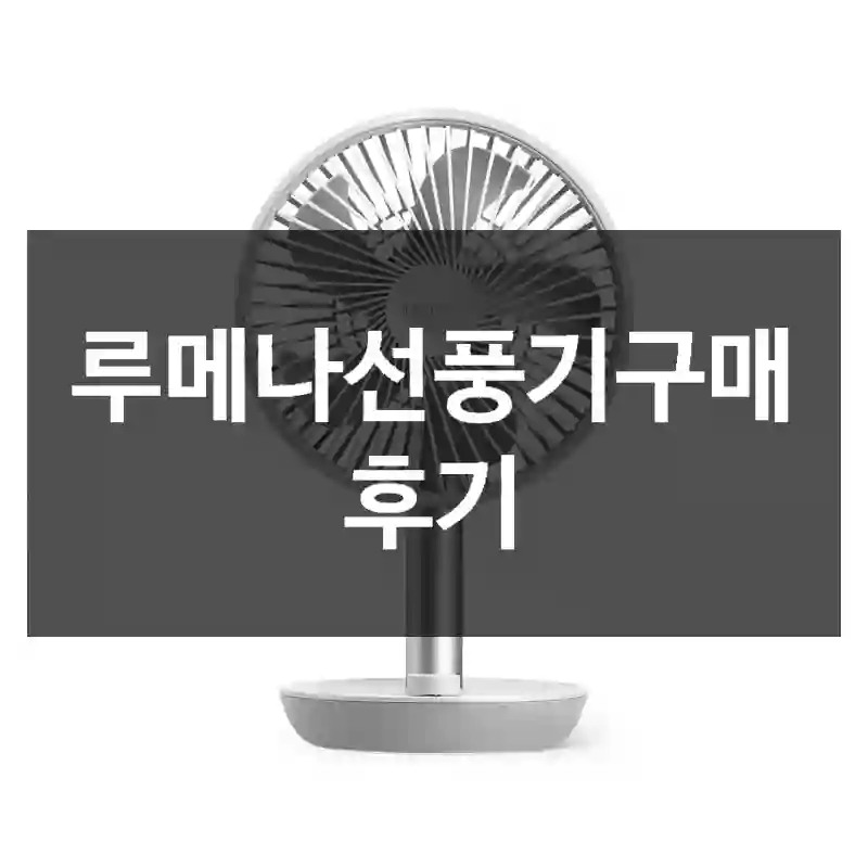 루메나선풍기구매 후기